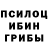 Галлюциногенные грибы Psilocybine cubensis YT_FIRE_YT