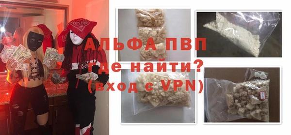 прущие грибы Березники
