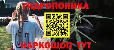 PSILOCYBIN Татарск