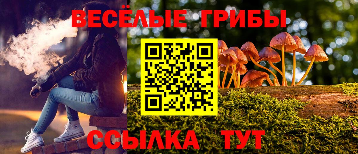 Псилоцибиновые грибы MAGIC MUSHROOMS  купить наркотик  Вход с VPN  Черняховск  Псилоцибиновые грибы Cubensis 