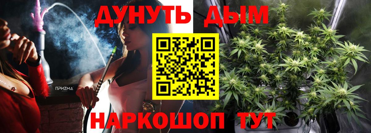 Бошки марихуана сатива  Вход с VPN  Черняховск  МАРИХУАНА планчик  Бошки Шишки ГИДРОПОН 